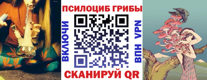 blacksprut tor  как найти закладки  Можга  Псилоцибиновые грибы Cubensis 